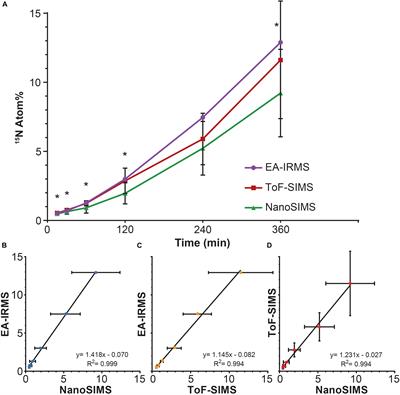 Quantifying Inorganic Nitrogen Assimilation by Synechococcus Using Bulk and Single-Cell Mass Spectrometry: A Comparative Study